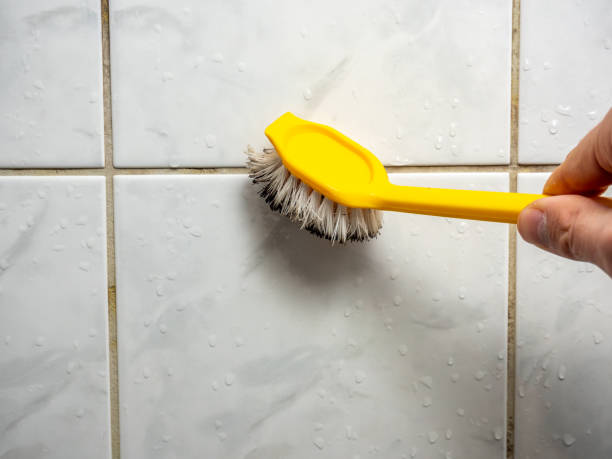 Best Emergency Mold Removal  in New Castle, CO
